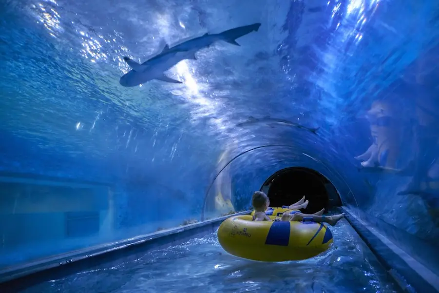 Aquapark Reda - jeden z największych parków wodnych w Polsce - wodne atrakcje i jedyna w Europie strefa z akwarium z rekinami. | Best Plan Travel