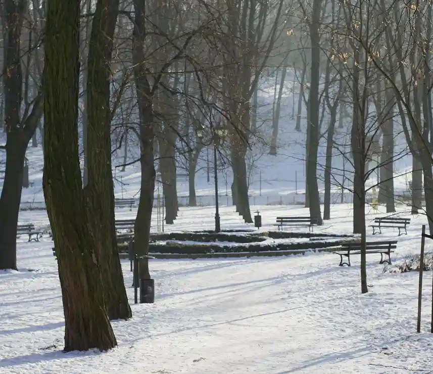 Bochnia i okolica - atrakcje turystyczne i ciekawe miejsca, które warto zobaczyć w Bochni. Co jeszcze warto zobaczyć? | Best Plan Travel